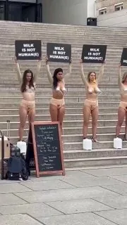 #反牛奶 活动人士，在 #德国柏林 举着横幅，“牛奶不是人类的”～