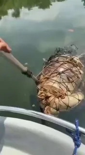 #马来西亚河发现浮尸