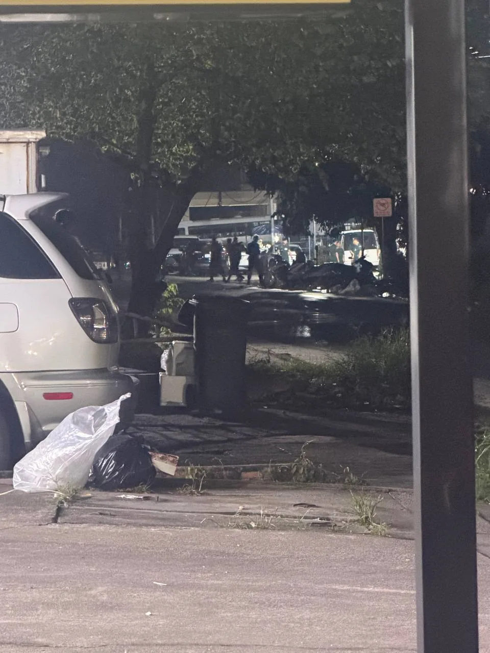 #网友反馈 海豚警察局集结兵力不知道出发哪里，各位小心哦~~