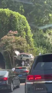 樱花树下的浪漫飞车 #车祸