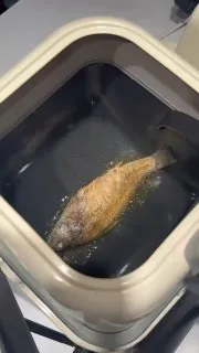 没人告诉我炒菜机不能炒鱼啊！