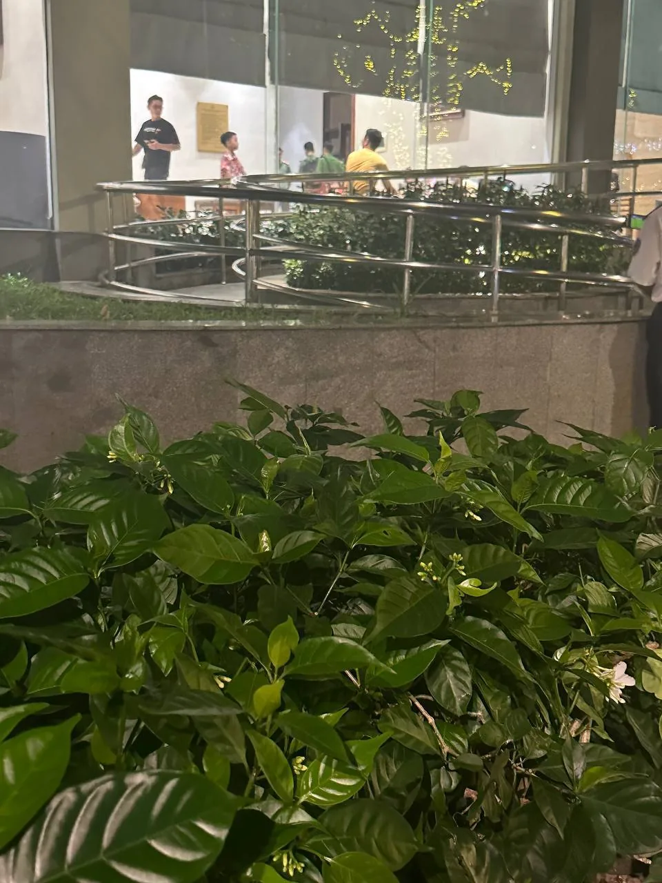 #突击检查越南胡志明