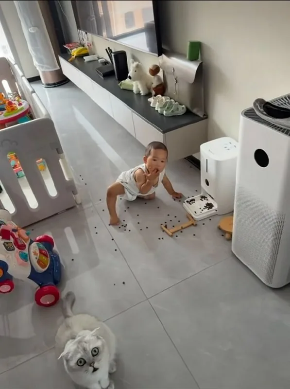 #猫猫头 惊呆了 怎么有人抢东西吃