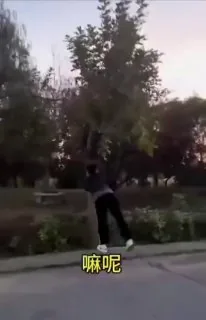 装比，让你飞起来