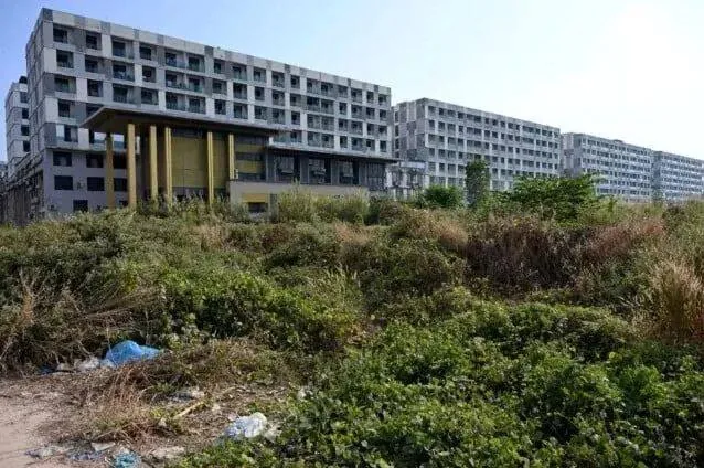 19岁、4个园区、1年地狱——阿烈终于回家了。但那些留下来的人,还在做着“赚大钱”的梦。 图片 3