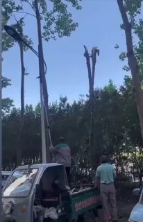不打勤的 不打懒的 就打不长眼的