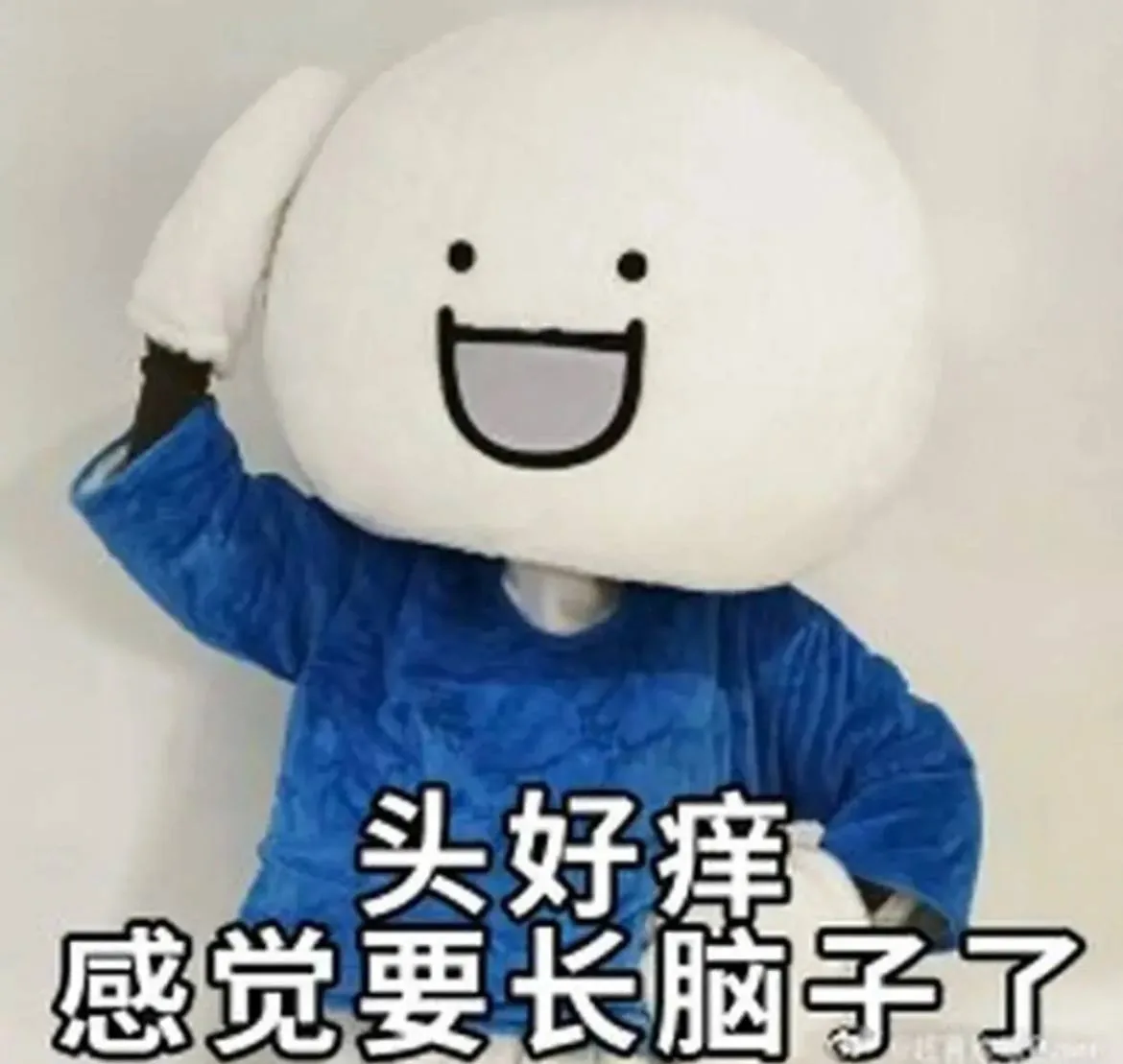 #群友投稿：在东南亚混久了，人都废了。不是赚钱的问题，是脑子出了问题。