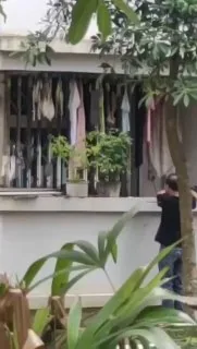 偷内裤的究竟是哪类人群？连主人的模样都未曾窥见。