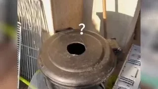 那些通晓人意的猫狗，简直成精了！