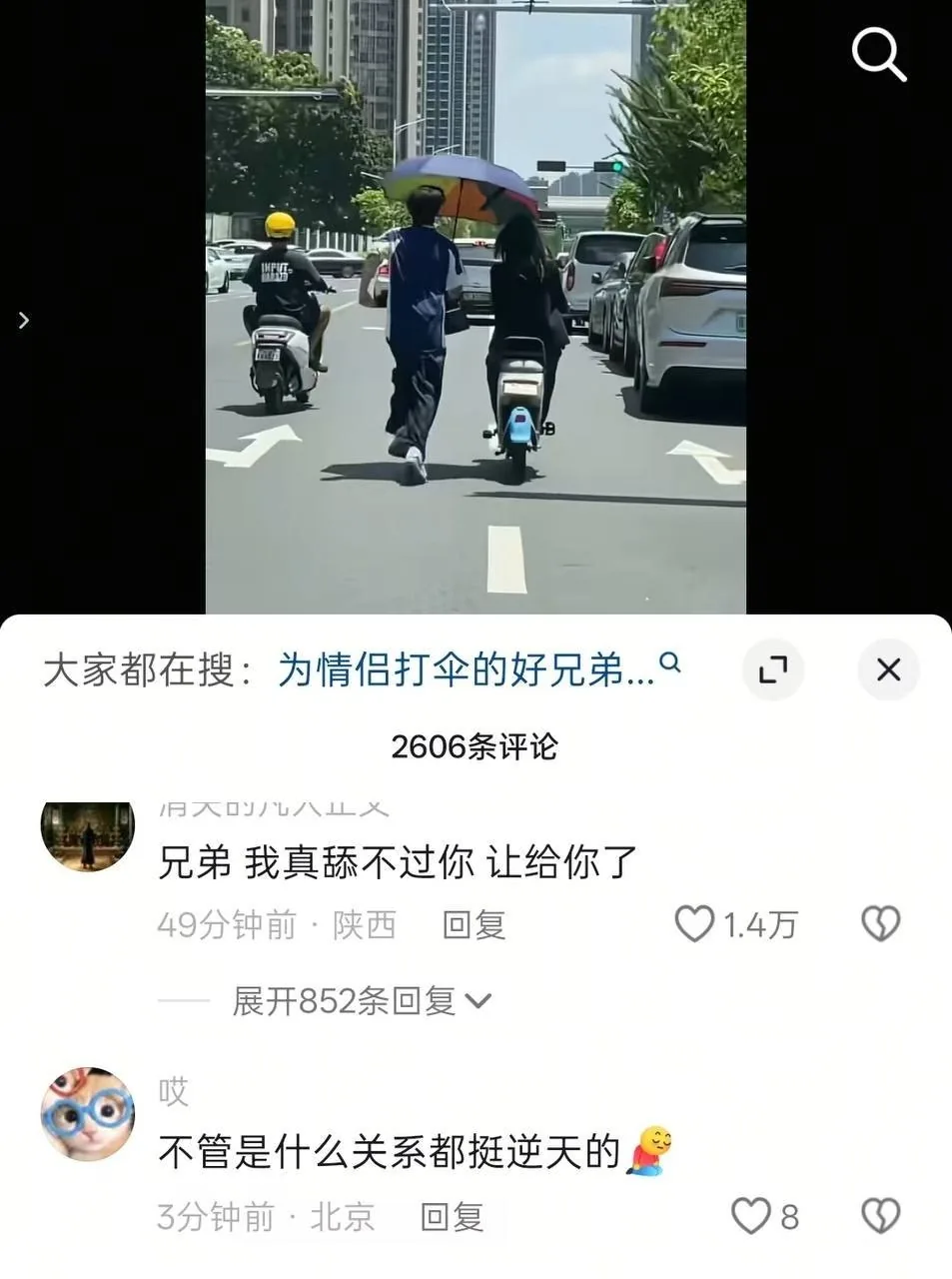添狗界的天花板