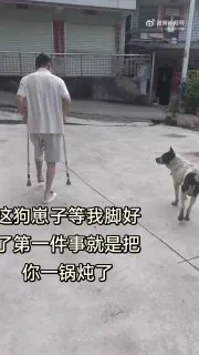 这狗子是真狗🤡