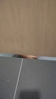 公共厕所，有人偷窥 #厕所